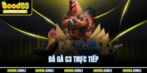 Đá Gà C3 Trực Tiếp – Chọi Kê Kịch Tính Tại Good88 2025